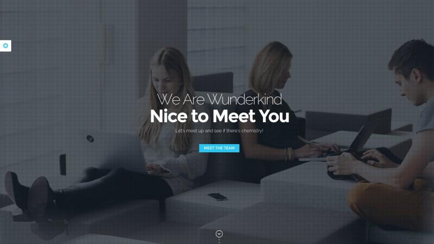 Wunderkind - One Page Parallax Drupal 7 & 10 Theme