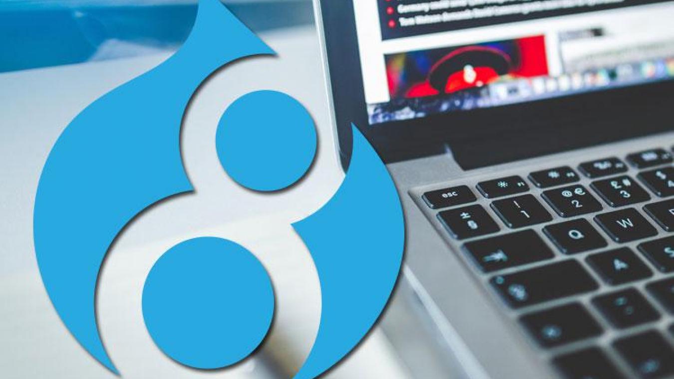 How to remove the preview button on a Drupal 8 contact form