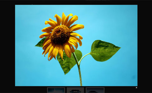 Shadowbox gallery displays only the first image on a multi-image field (option "compact")