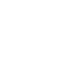 Manus AI