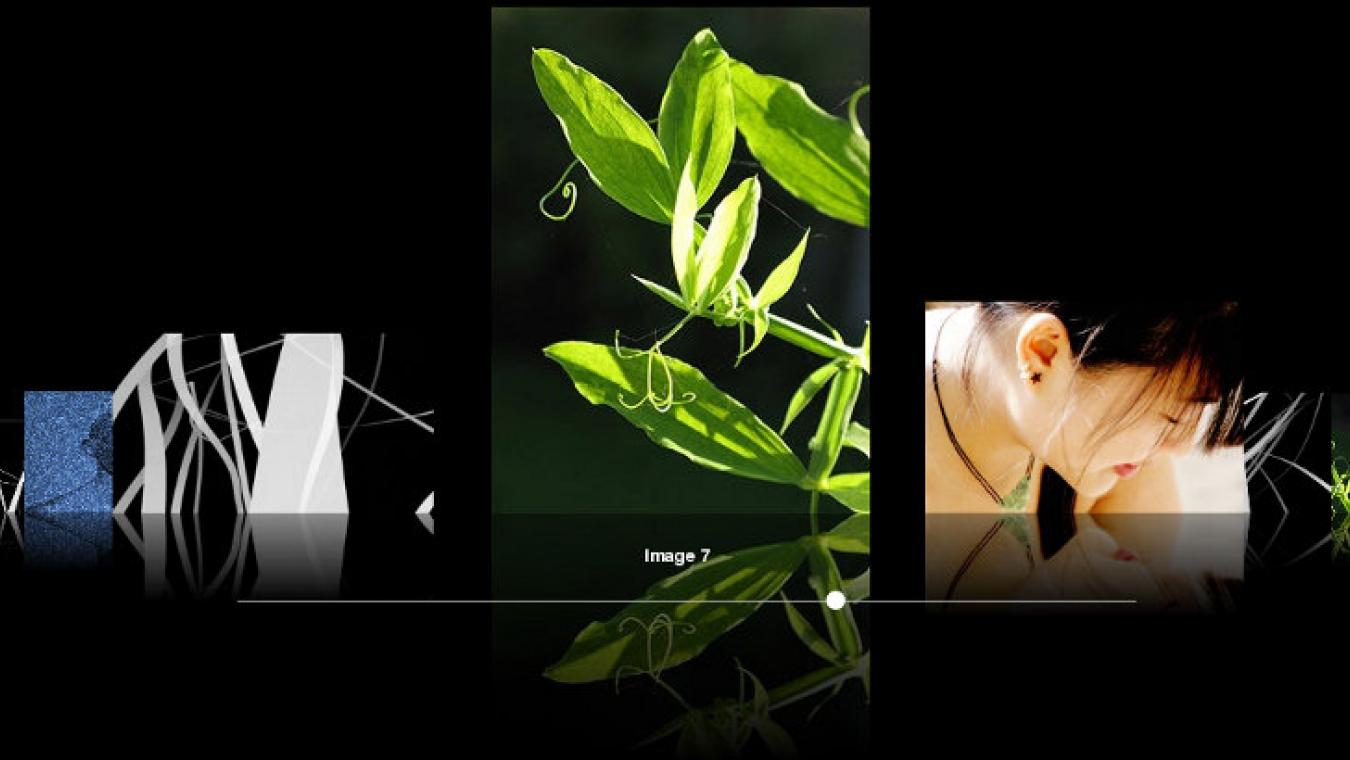 How to fix the problem with the Drupal module Views jQFX ImageFlow (Images not showing)