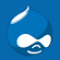 Profile picture for user drupal